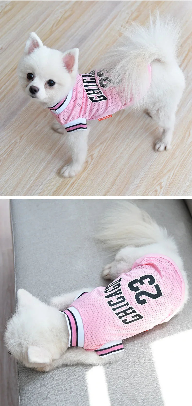 Breathable Summer Pet Jersey