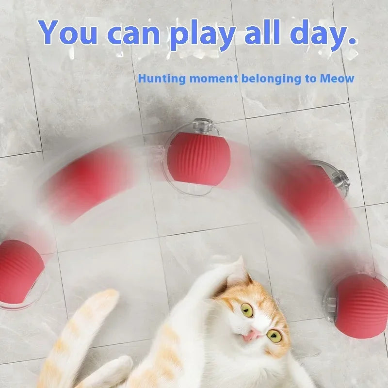 Automatic Rolling Cat Toy Ball