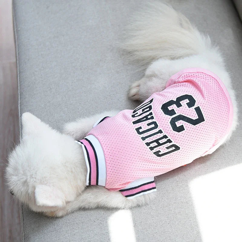 Breathable Summer Pet Jersey