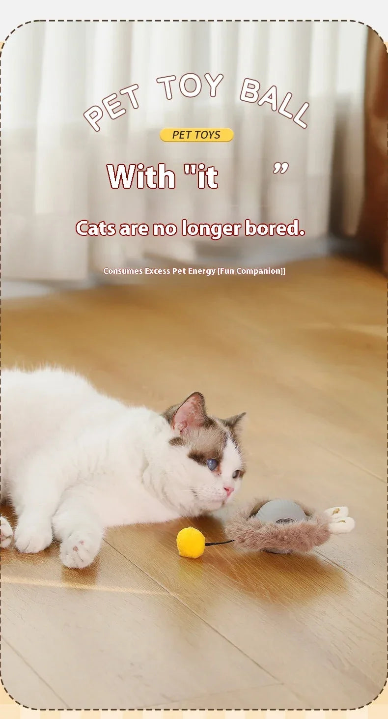 Automatic Rolling Cat Toy Ball