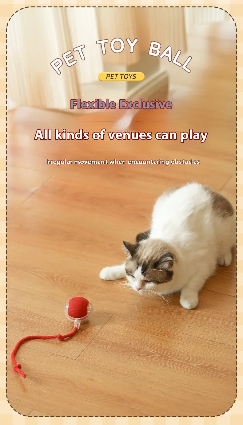 Automatic Rolling Cat Toy Ball