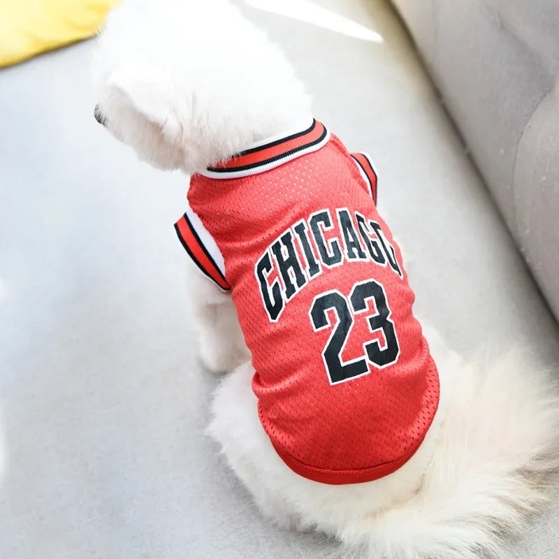 Breathable Summer Pet Jersey
