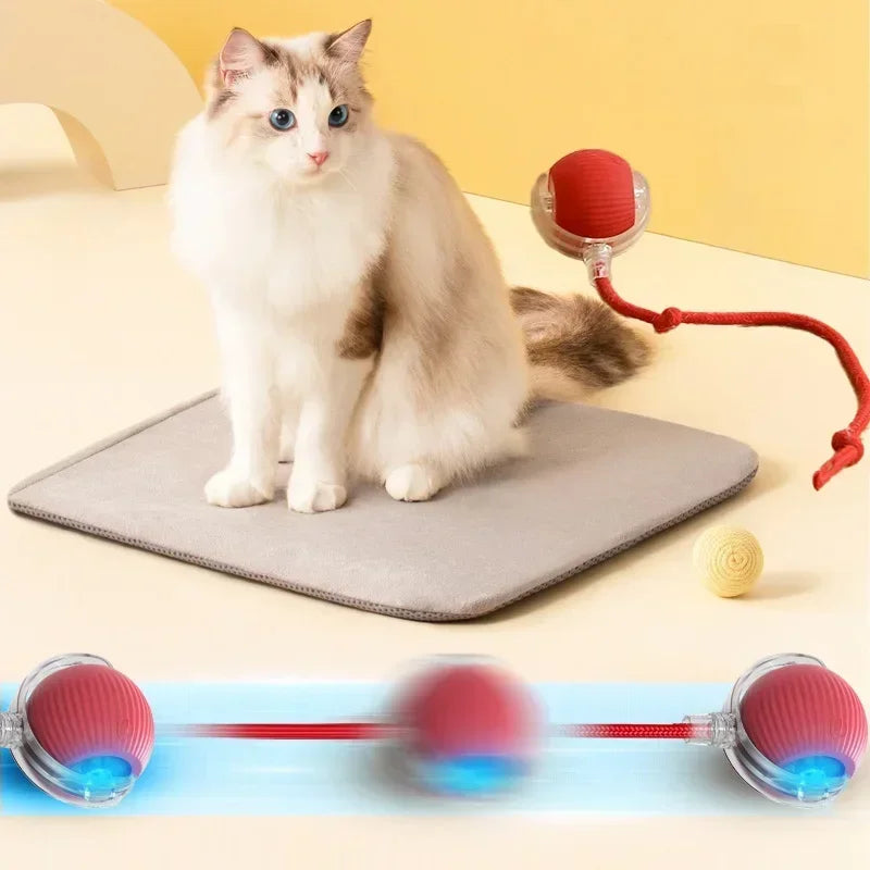 Automatic Rolling Cat Toy Ball