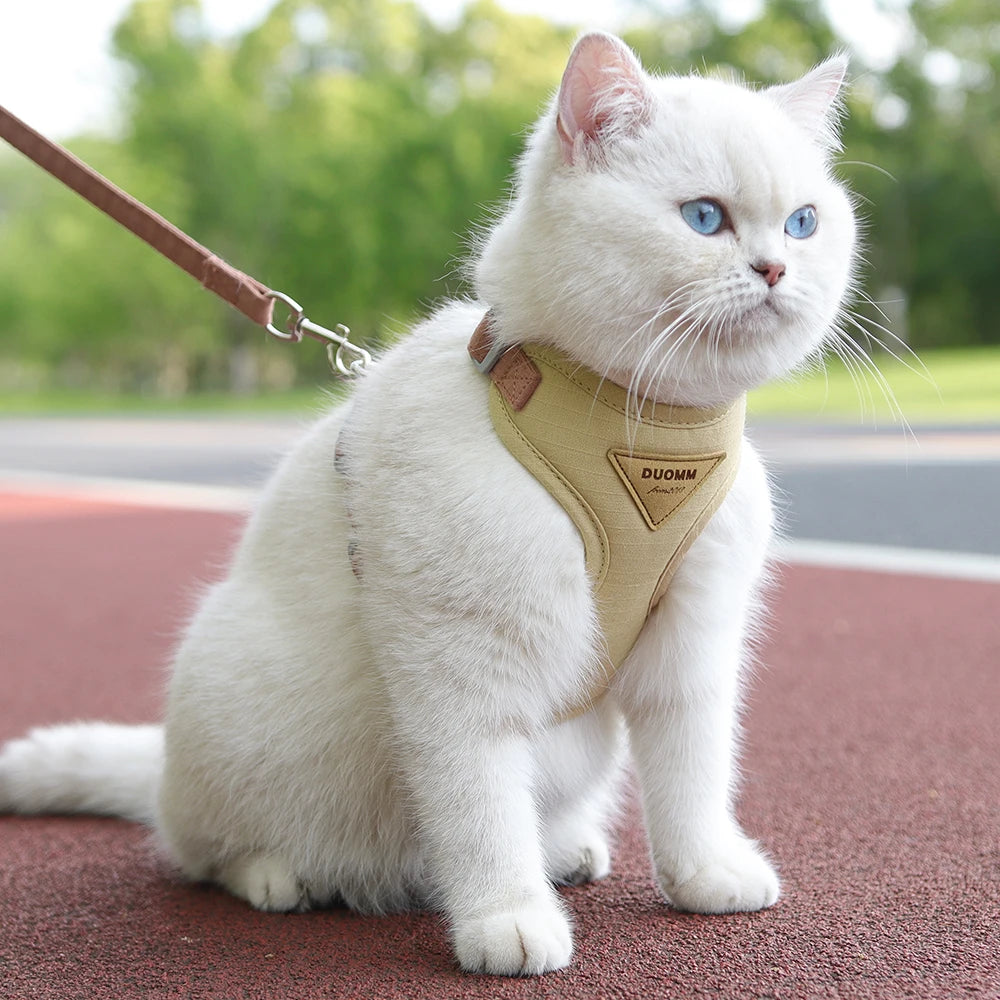 Breathable Pet Harness & Leash Set