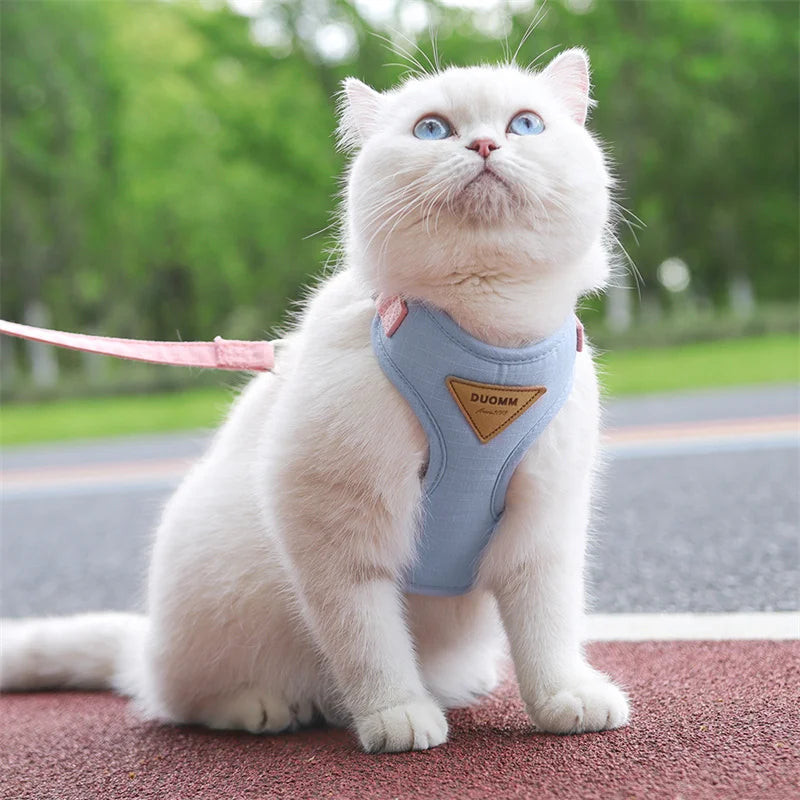 Breathable Pet Harness & Leash Set