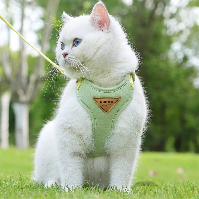 Breathable Pet Harness & Leash Set