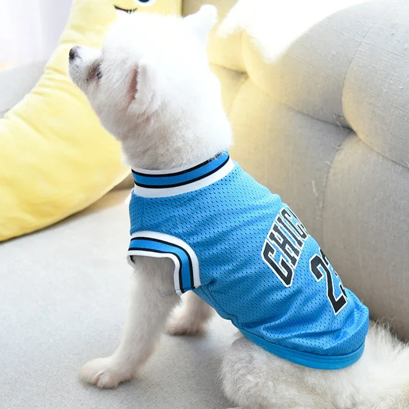 Breathable Summer Pet Jersey