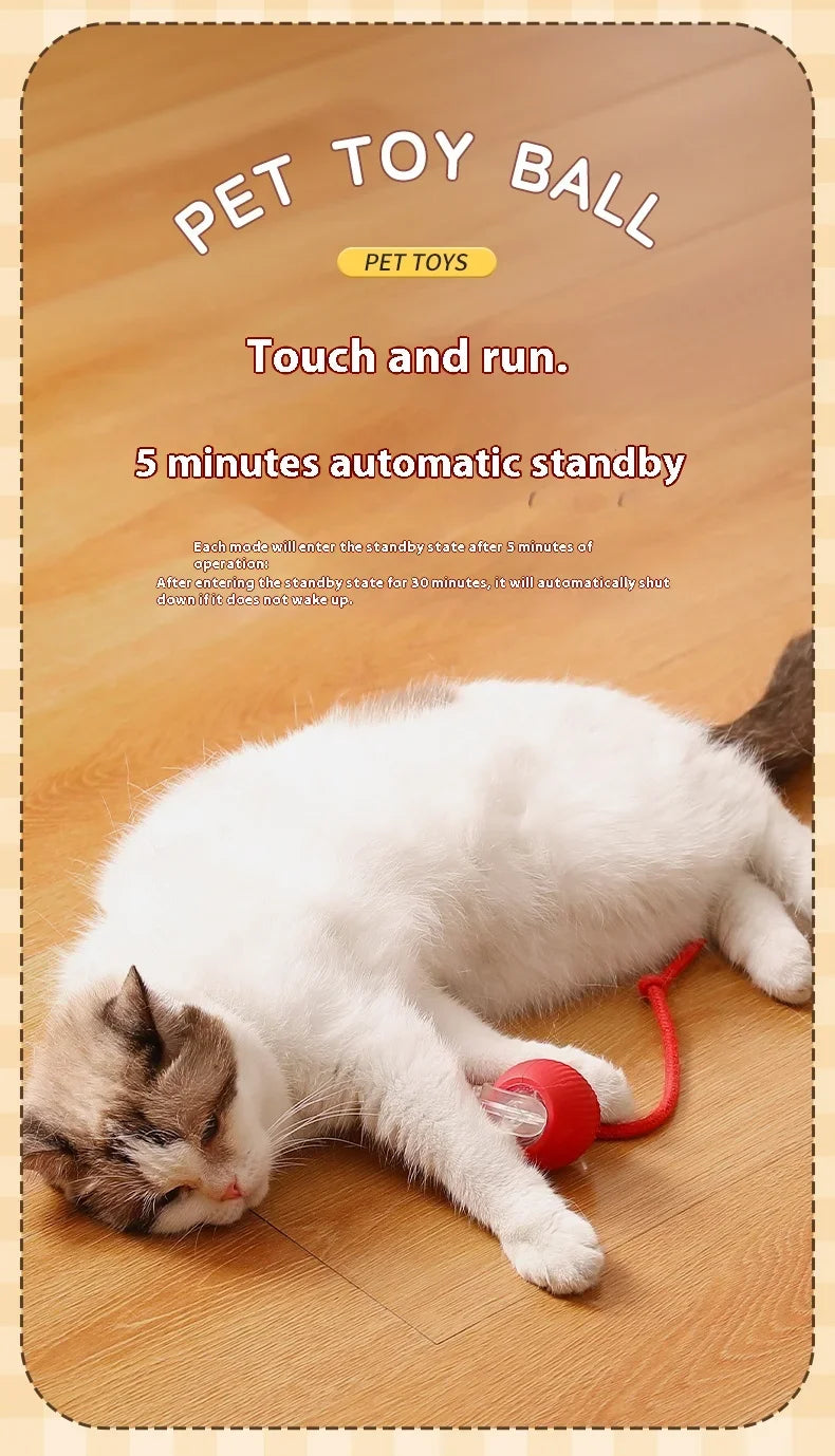 Automatic Rolling Cat Toy Ball