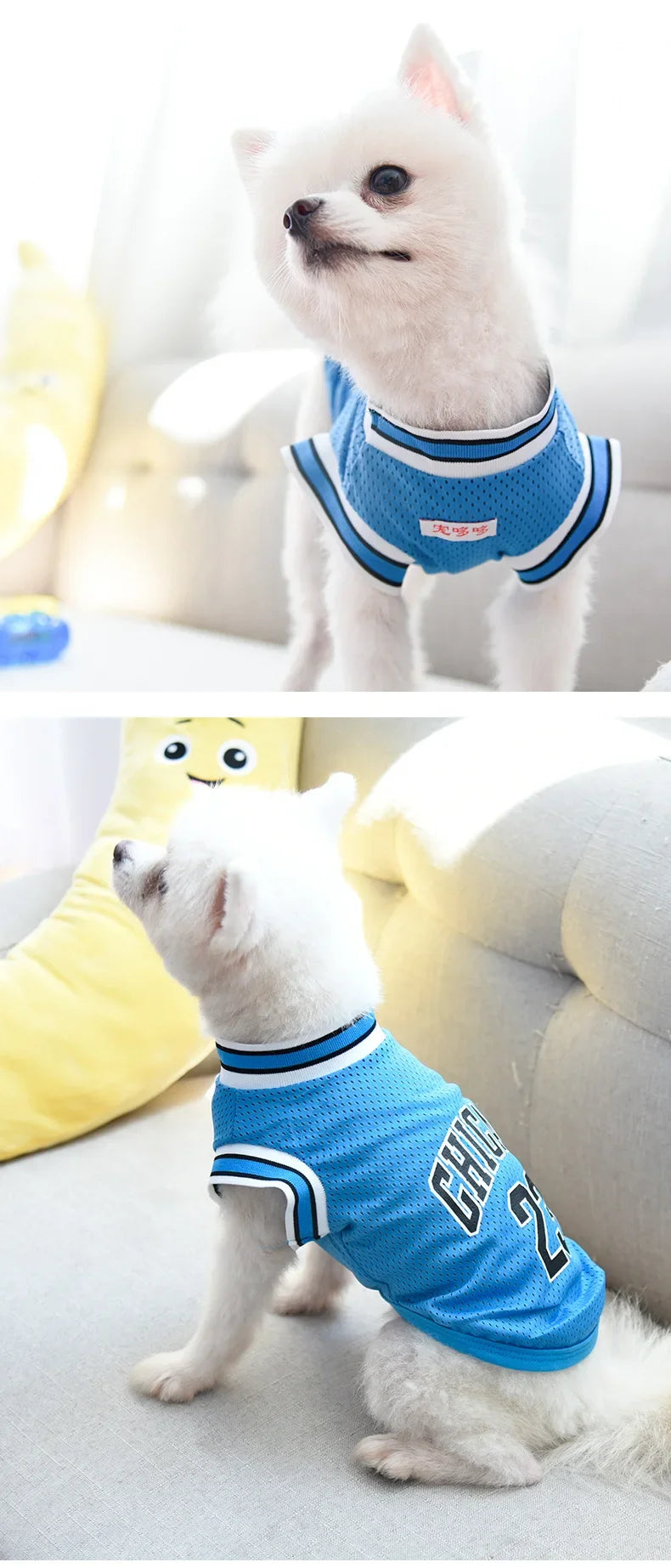 Breathable Summer Pet Jersey