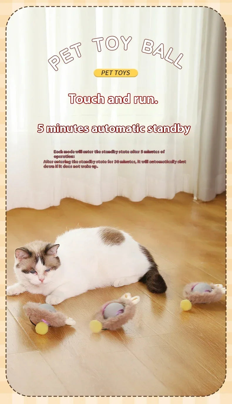 Automatic Rolling Cat Toy Ball