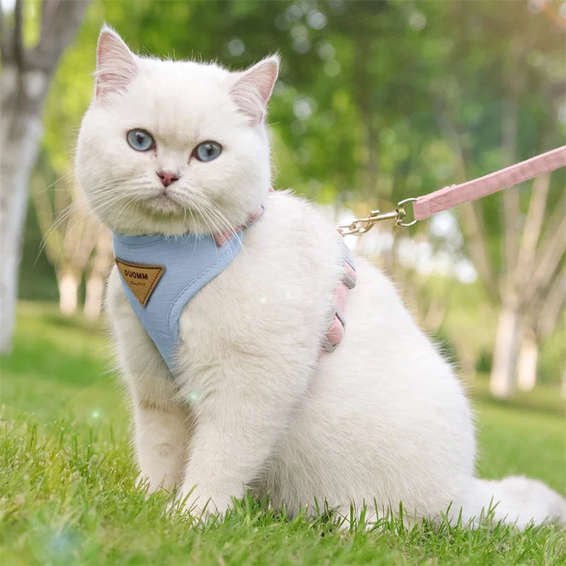 Breathable Pet Harness & Leash Set