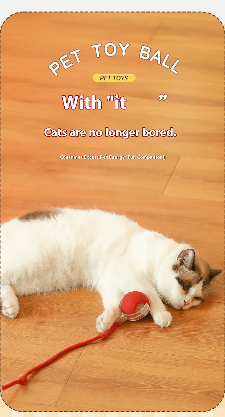 Automatic Rolling Cat Toy Ball