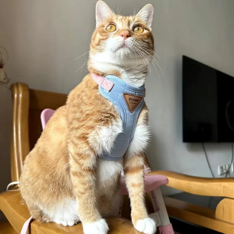 Breathable Pet Harness & Leash Set