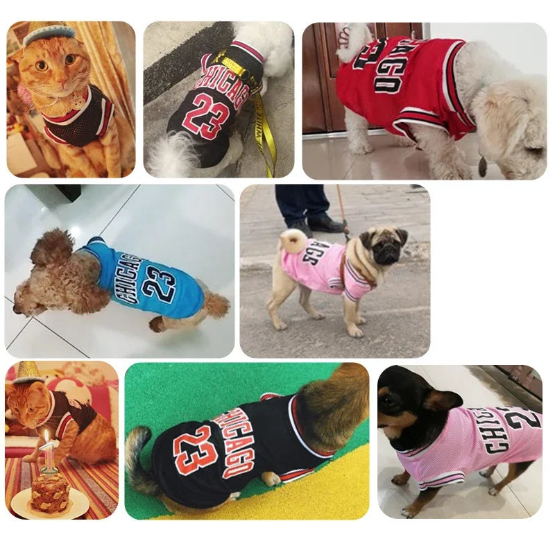 Breathable Summer Pet Jersey
