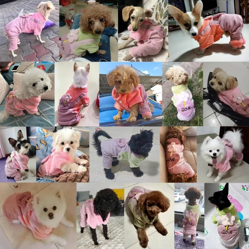Warm Winter Pet Jumpsuit