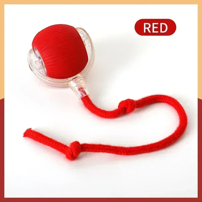 Automatic Rolling Cat Toy Ball