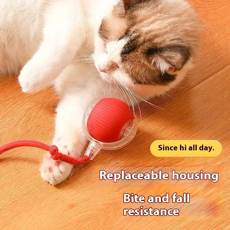 Automatic Rolling Cat Toy Ball