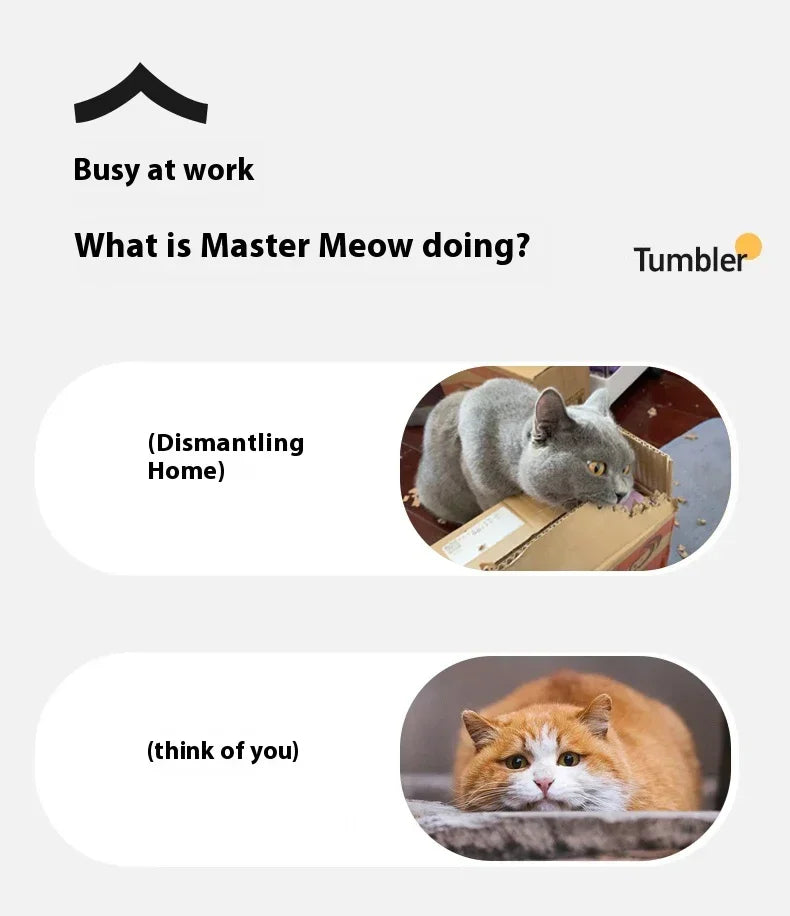 Automatic Rolling Cat Toy Ball