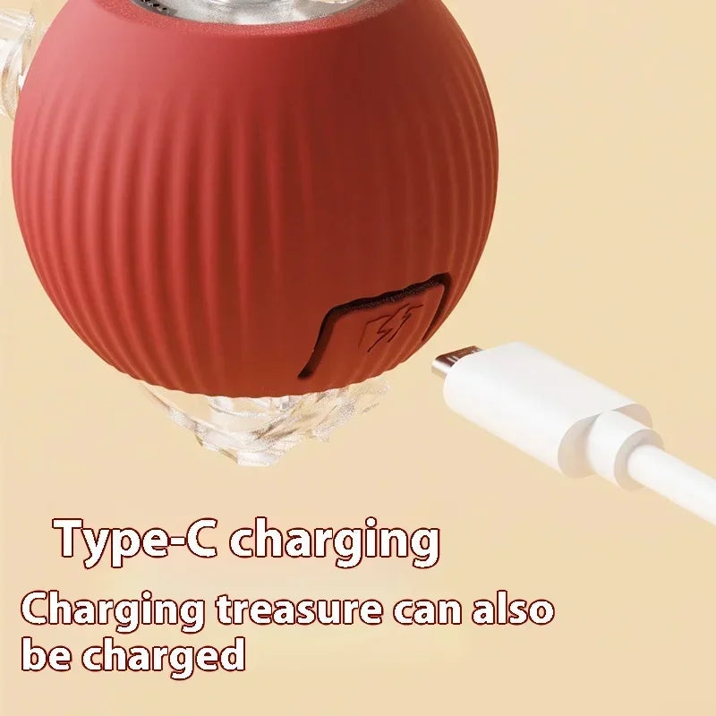 Automatic Rolling Cat Toy Ball