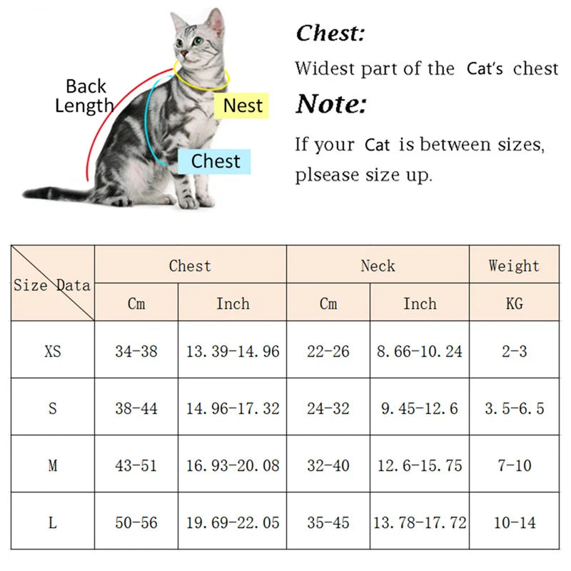 Breathable Pet Harness & Leash Set