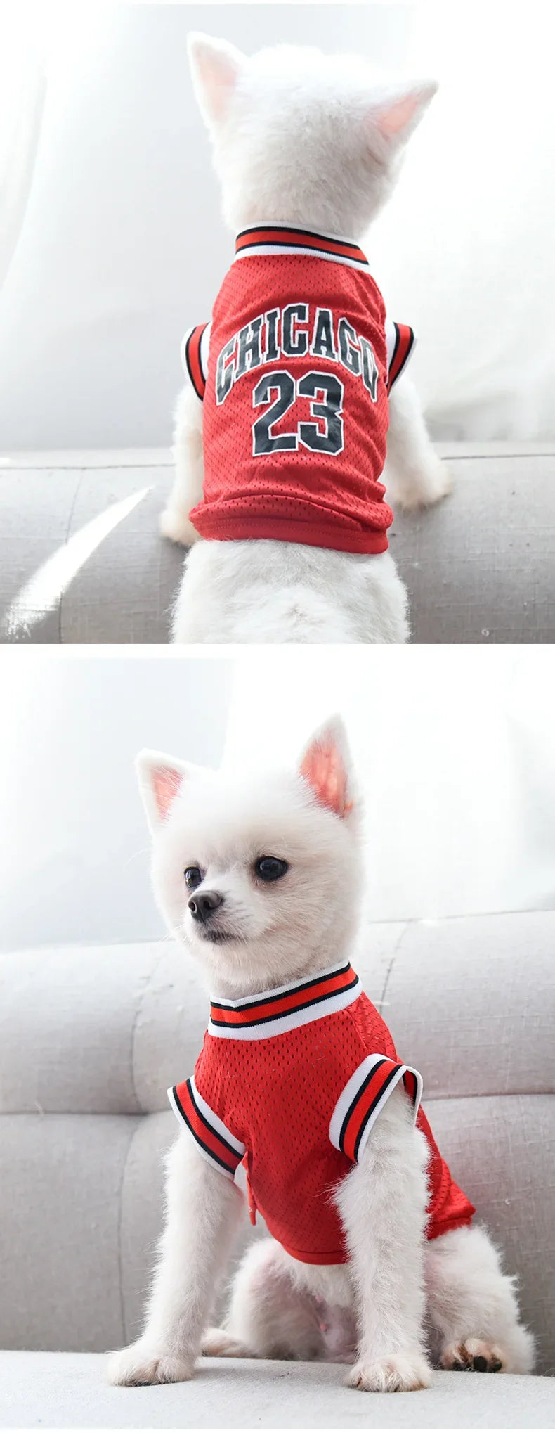 Breathable Summer Pet Jersey
