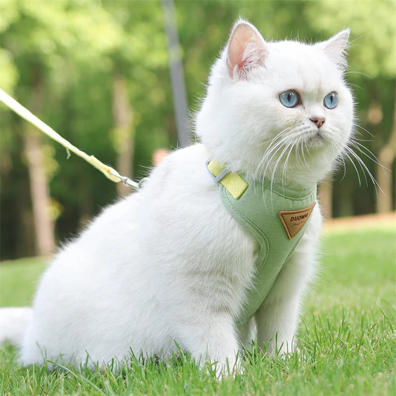 Breathable Pet Harness & Leash Set