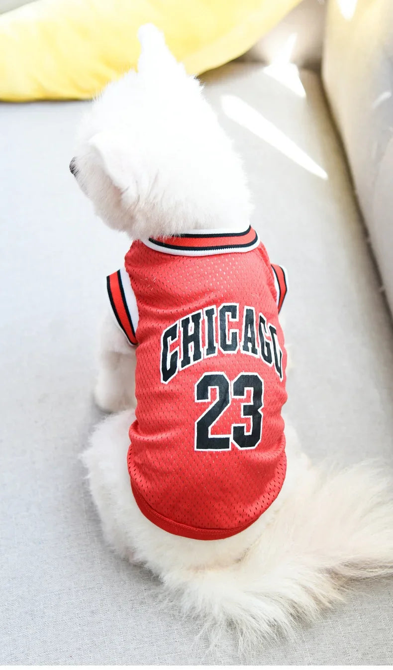 Breathable Summer Pet Jersey