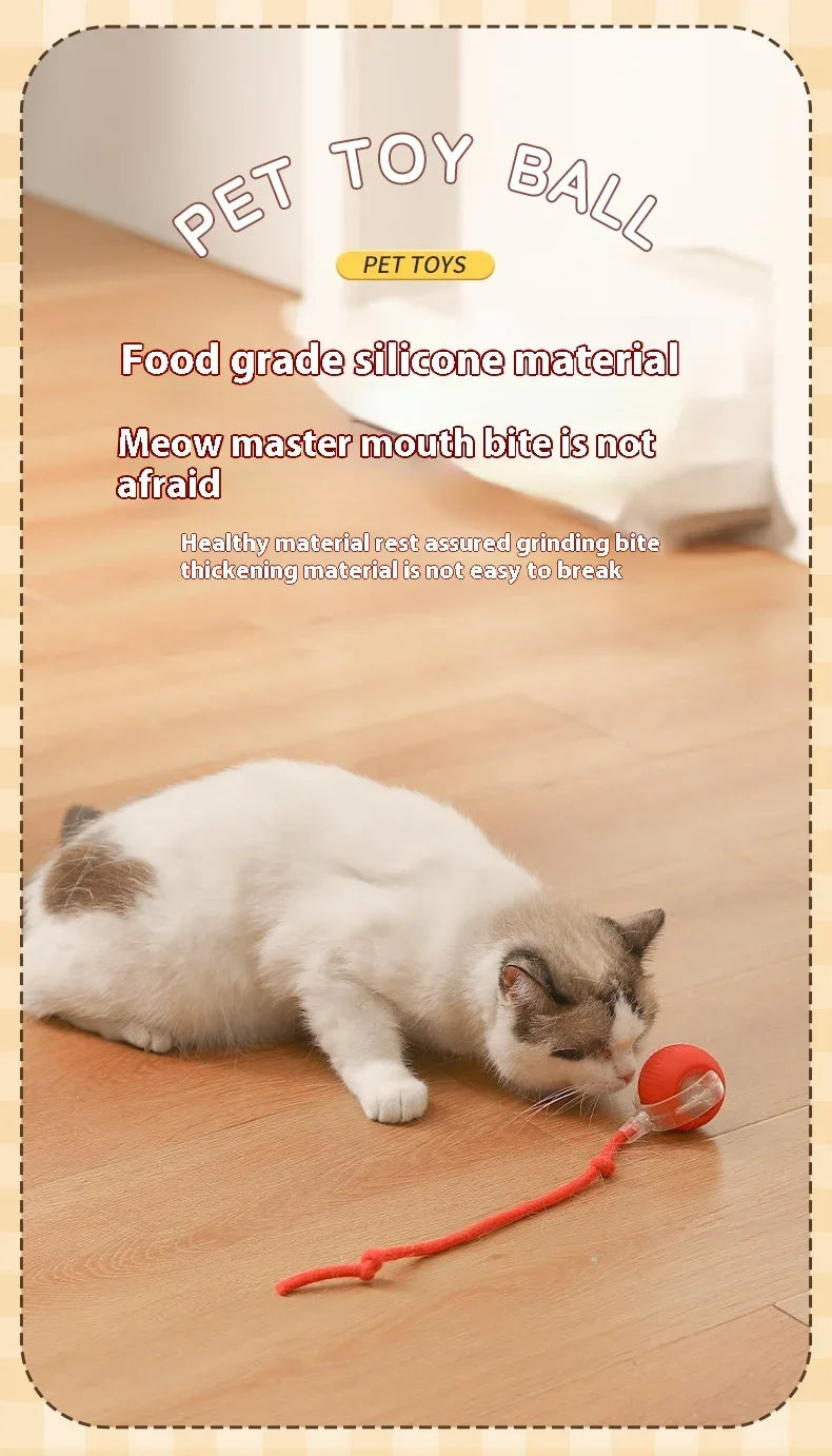 Automatic Rolling Cat Toy Ball