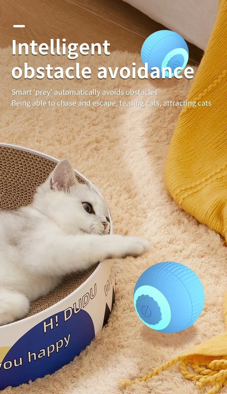 Automatic Rolling Cat Toy Ball