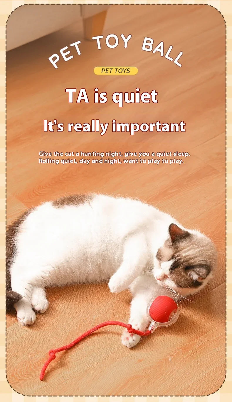 Automatic Rolling Cat Toy Ball